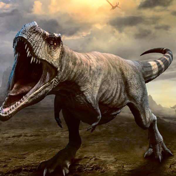 Fierce T. rex roaring under a stormy sky with pterosaurs flying in the distance