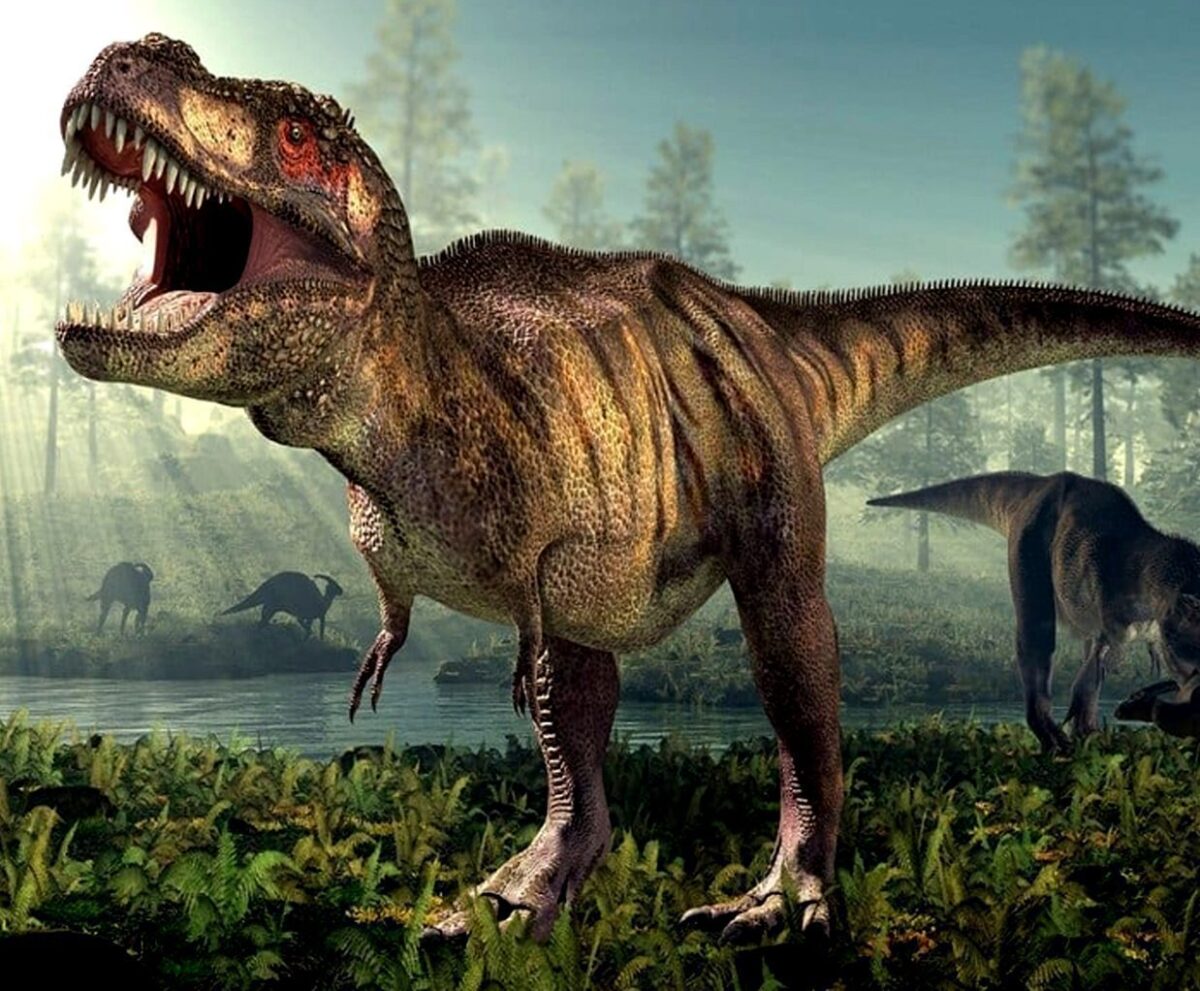 Roaring T. rex in a sunlit prehistoric forest with dinosaurs grazing in the background