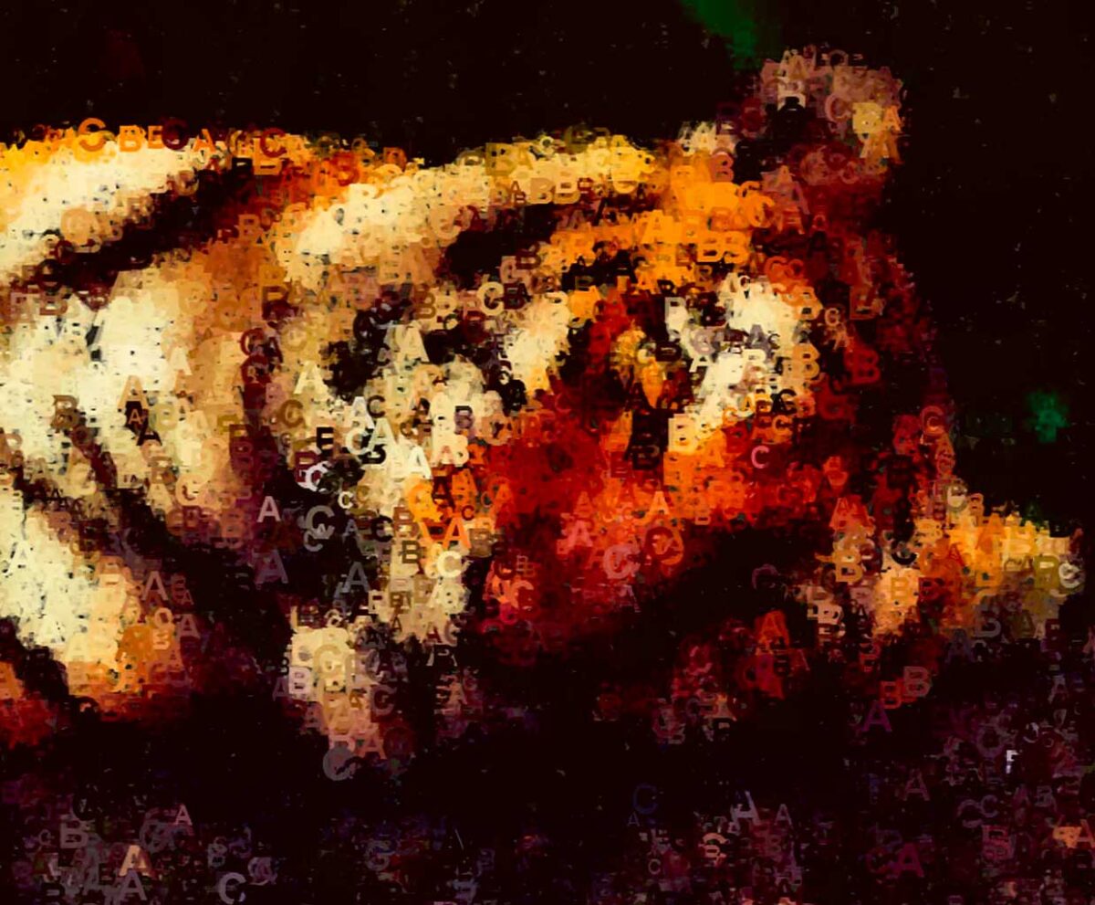 Tiger illustration created with layered typography and warm-toned letters forming the animal’s face