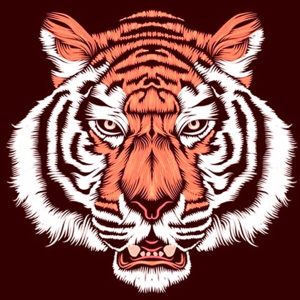 Fierce illustrated tiger head in bold orange and white with intense symmetrical lines on dark red background