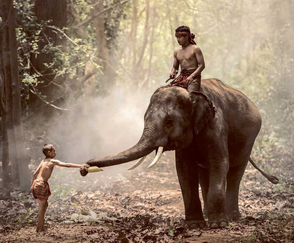 A young boy stands reaching out to feed an elephant while another boy sits calmly atop the elephant in a misty forest