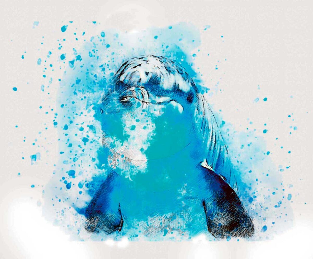 Abstract artistic painting of a dolphin in shades of blue, perfect for creating a calming aquatic atmosphere in your LED Box Frame.