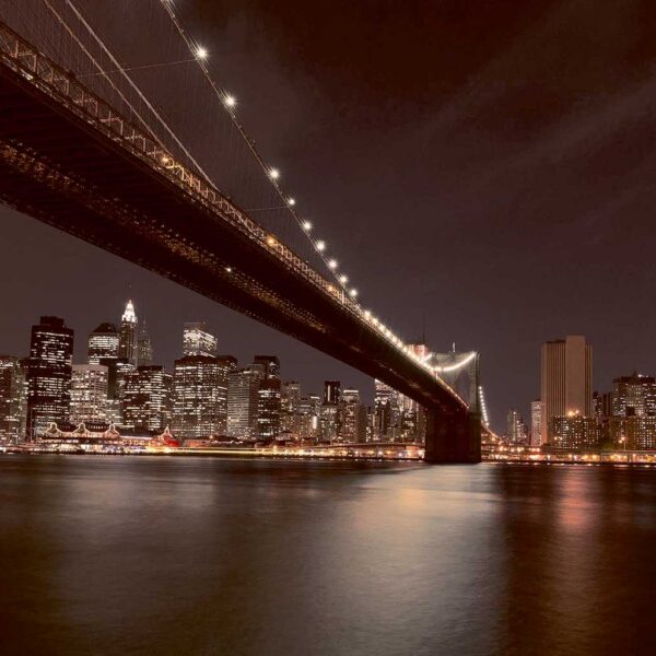 Cityscape LED Box Frames