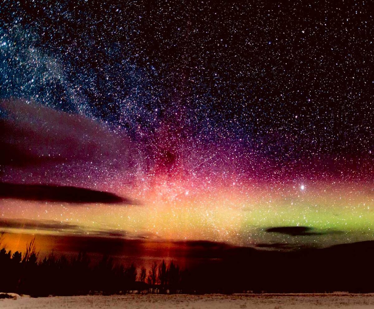 A vibrant northern lights display in green, purple, and gold beneath a galaxy of stars and silhouetted treetops