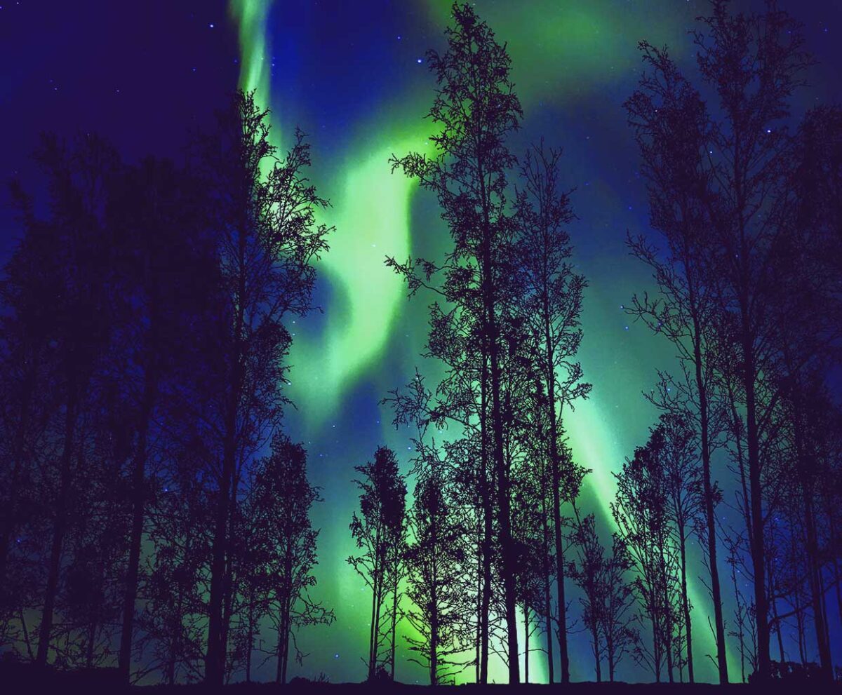 Vibrant Northern Lights display framed in LED Box Frame, showcasing a breathtaking natural phenomenon with tree silhouettes.