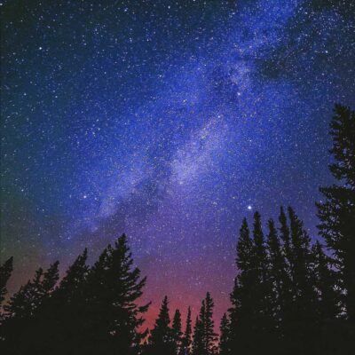 Stunning Milky Way galaxy with starry sky and silhouette of trees captured in a captivating LED Box Frame