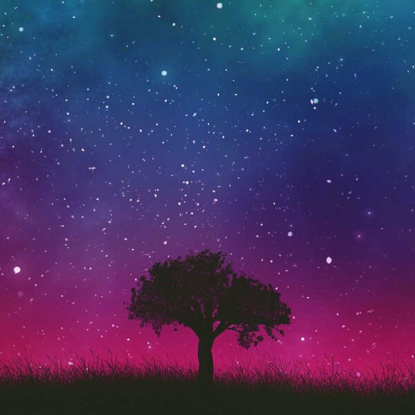 Tree silhouette under a cosmic night sky with vibrant purple, blue, and green hues, captured in an LED Box Frame.