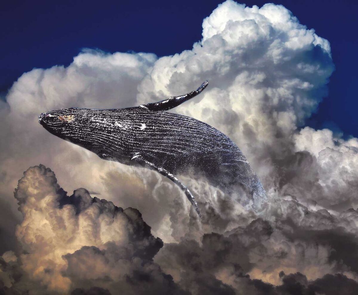 Surreal image of a humpback whale swimming through dramatic storm clouds against a deep blue sky