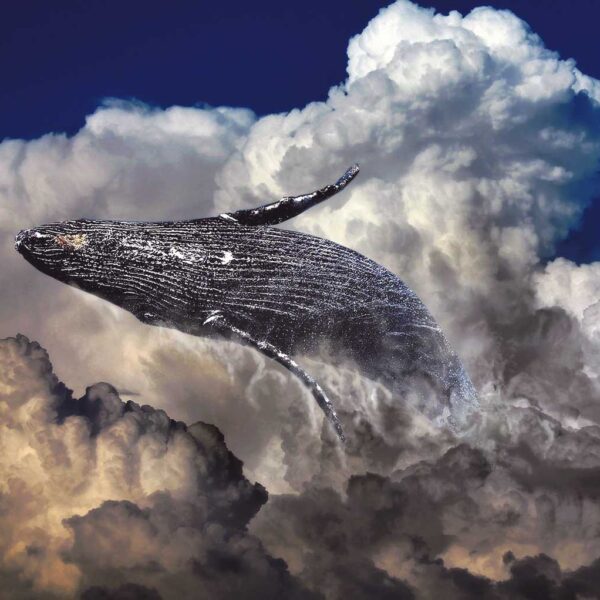Surreal image of a humpback whale swimming through dramatic storm clouds against a deep blue sky