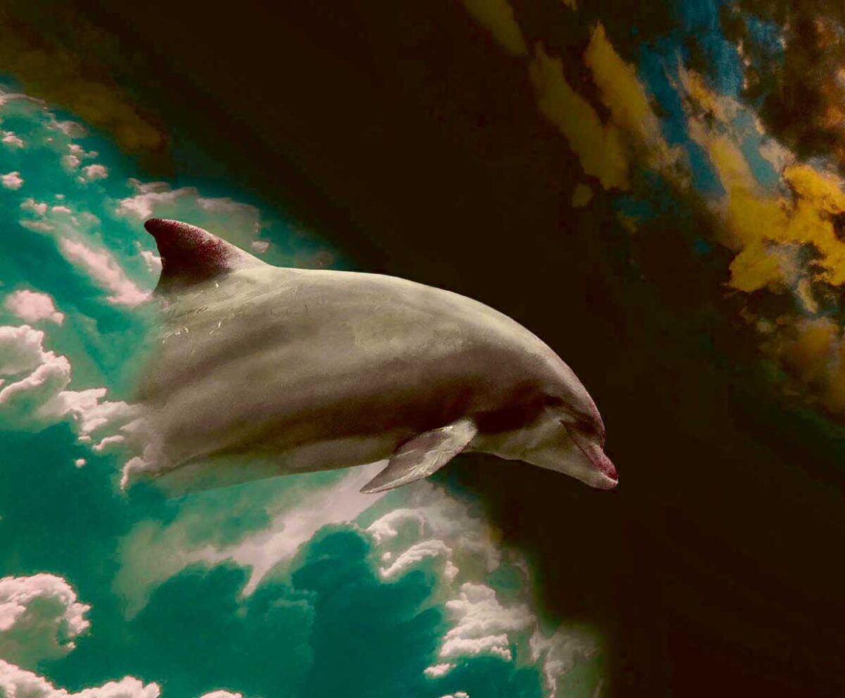 An artistic portrayal of a dolphin swimming through vibrant clouds, offering a surreal and dreamlike touch for your LED Box Frame collection.