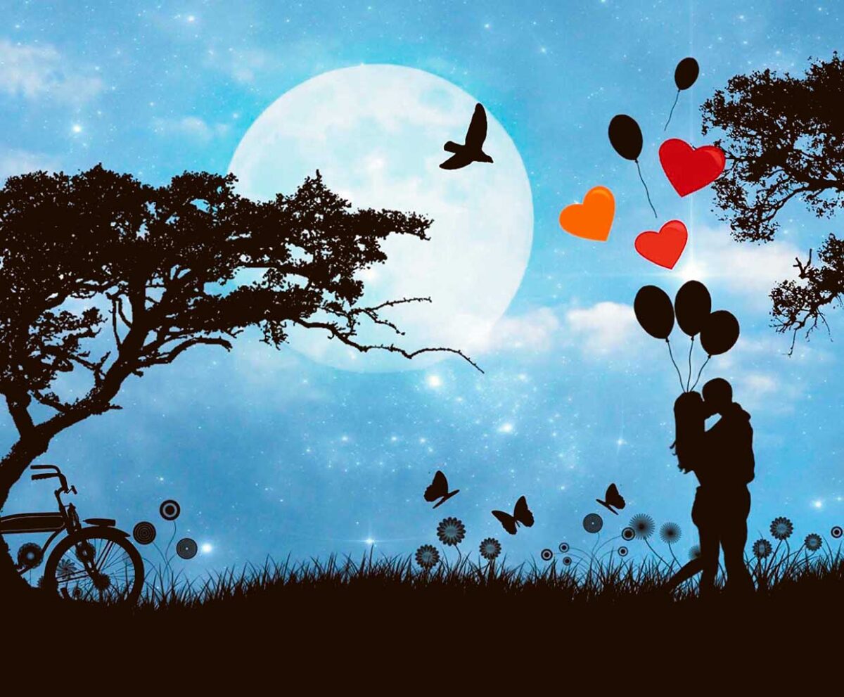 A romantic scene under the moon with a couple holding hands and releasing heart-shaped balloons, surrounded by trees, a bicycle, and fluttering butterflies, captured in an LED Box Frame.