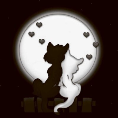 Two silhouette cats sitting together under a glowing moon with heart shaped stars floating above them captured in a charming LED Box Frame