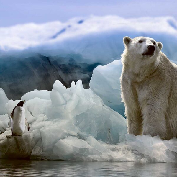 A majestic polar bear standing tall on an iceberg, surrounded by the cool blue of the icy landscape.