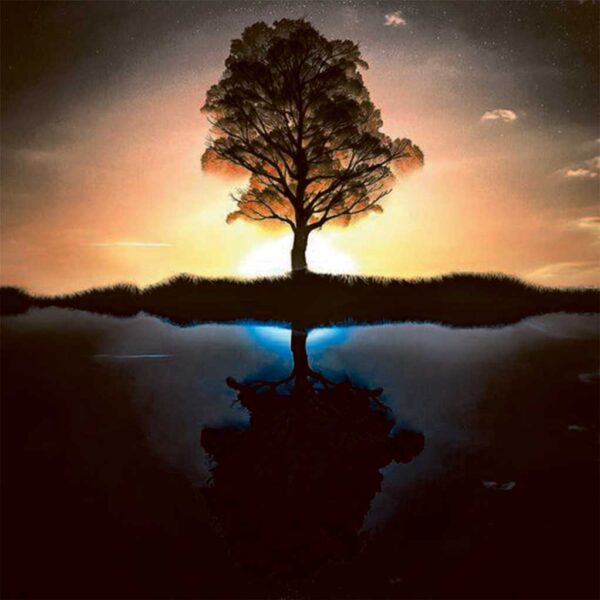 A solitary tree standing on a reflective body of water with a stunning sunset and starry sky as a backdrop.