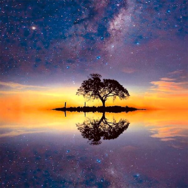 A lone tree standing on an island with a stunning starry sky above and its reflection on the calm water below.