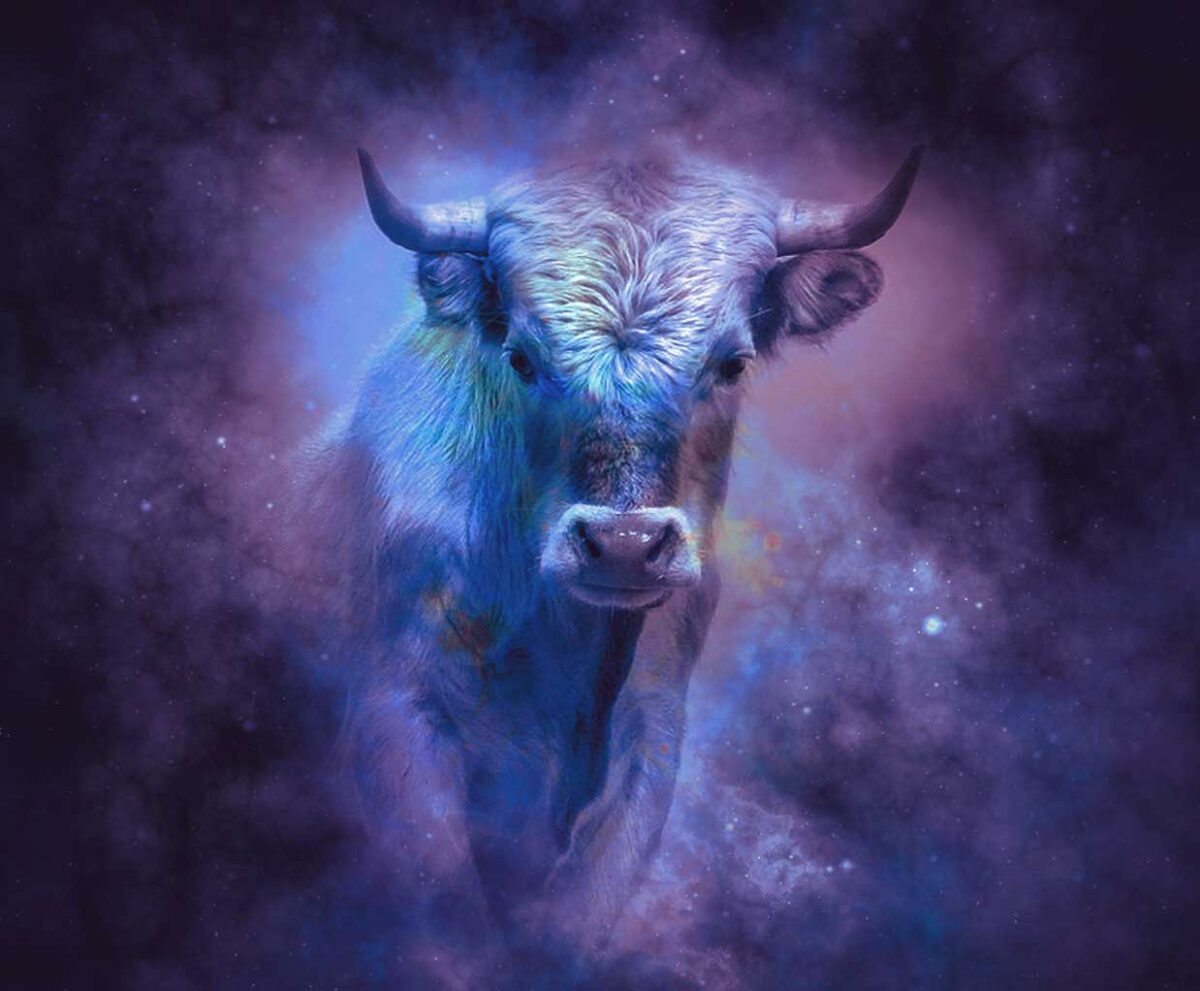 Highland cow in cosmic light – Illuminated LED Box Frame design