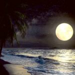 Night time beach moon