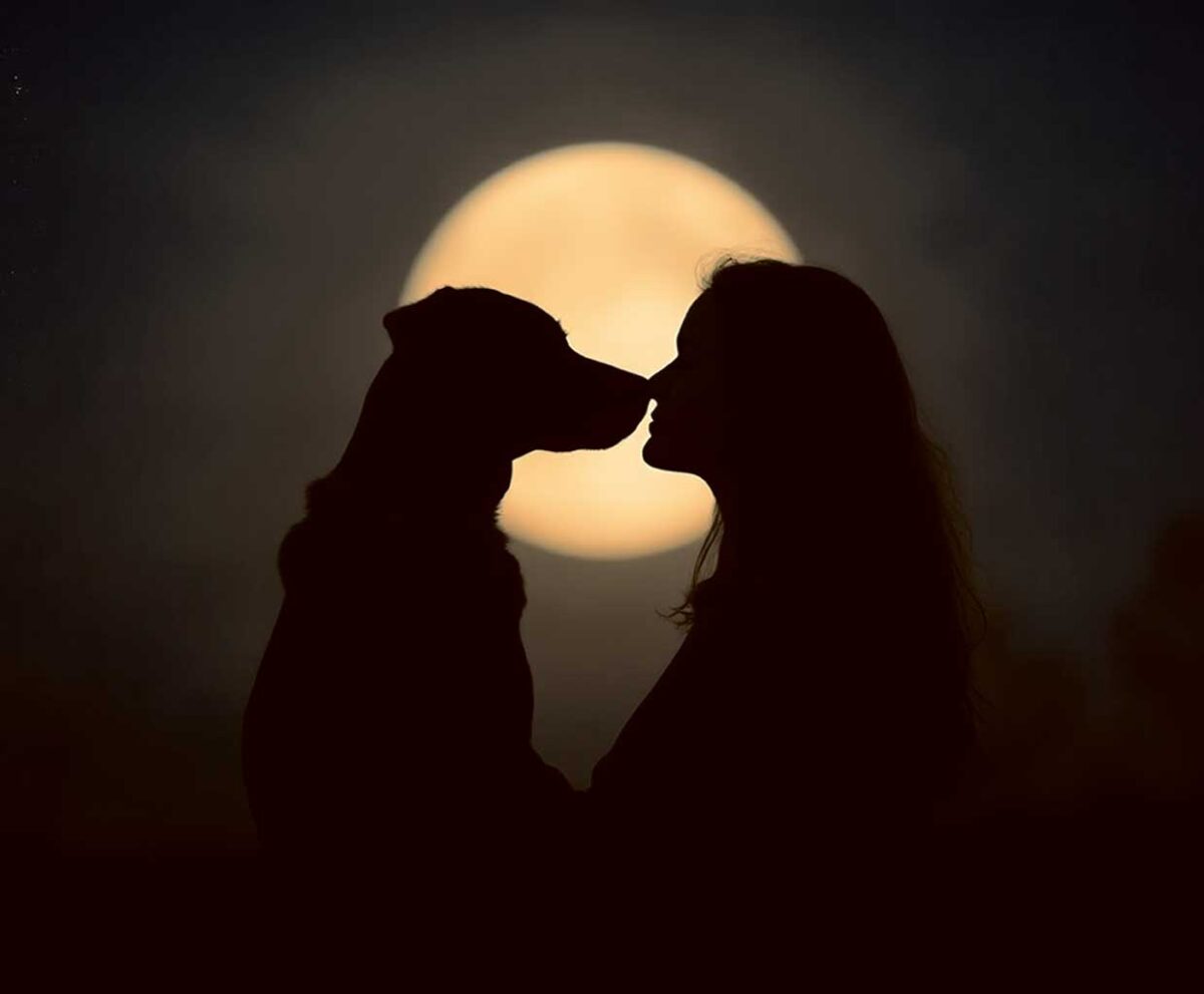 Silhouette of a couple kissing with a dog at their side under a full moon, displayed in an eco-friendly LED Box Frame with customizable lighting.