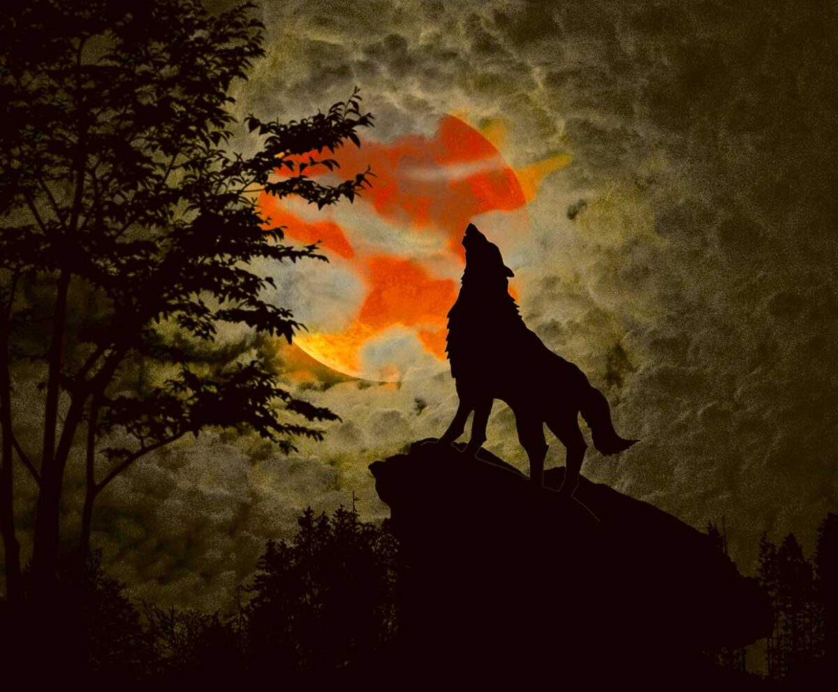 A wolf howling at a glowing moon, framed in an energy-efficient LED Box Frame for stunning ambiance.