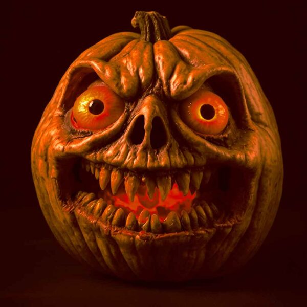 Pumpkin 5-Dark Rotting Pumpkin Halloween